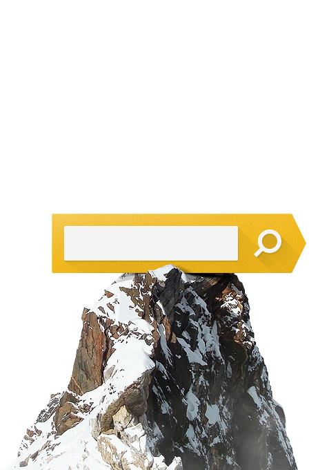 SEO продвижение сайтов Ростов